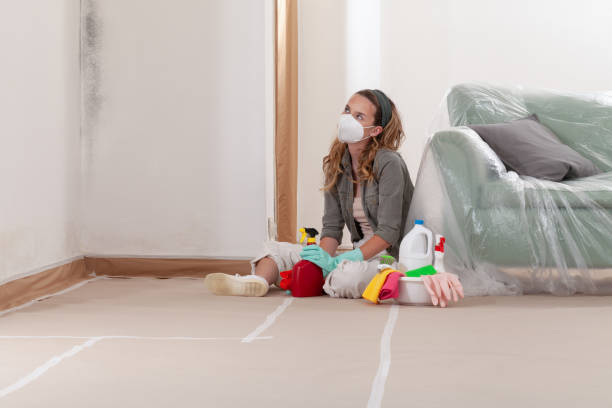 Reliable Mold Remediation contractor in Springfield, OR by WQB Mold Removal